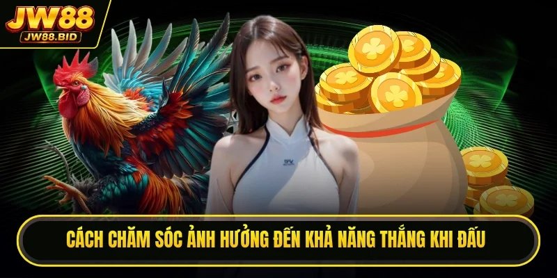 Cách chăm sóc ảnh hưởng đến khả năng thắng khi đấu Cách chăm sóc ảnh hưởng đến khả năng thắng khi đấu